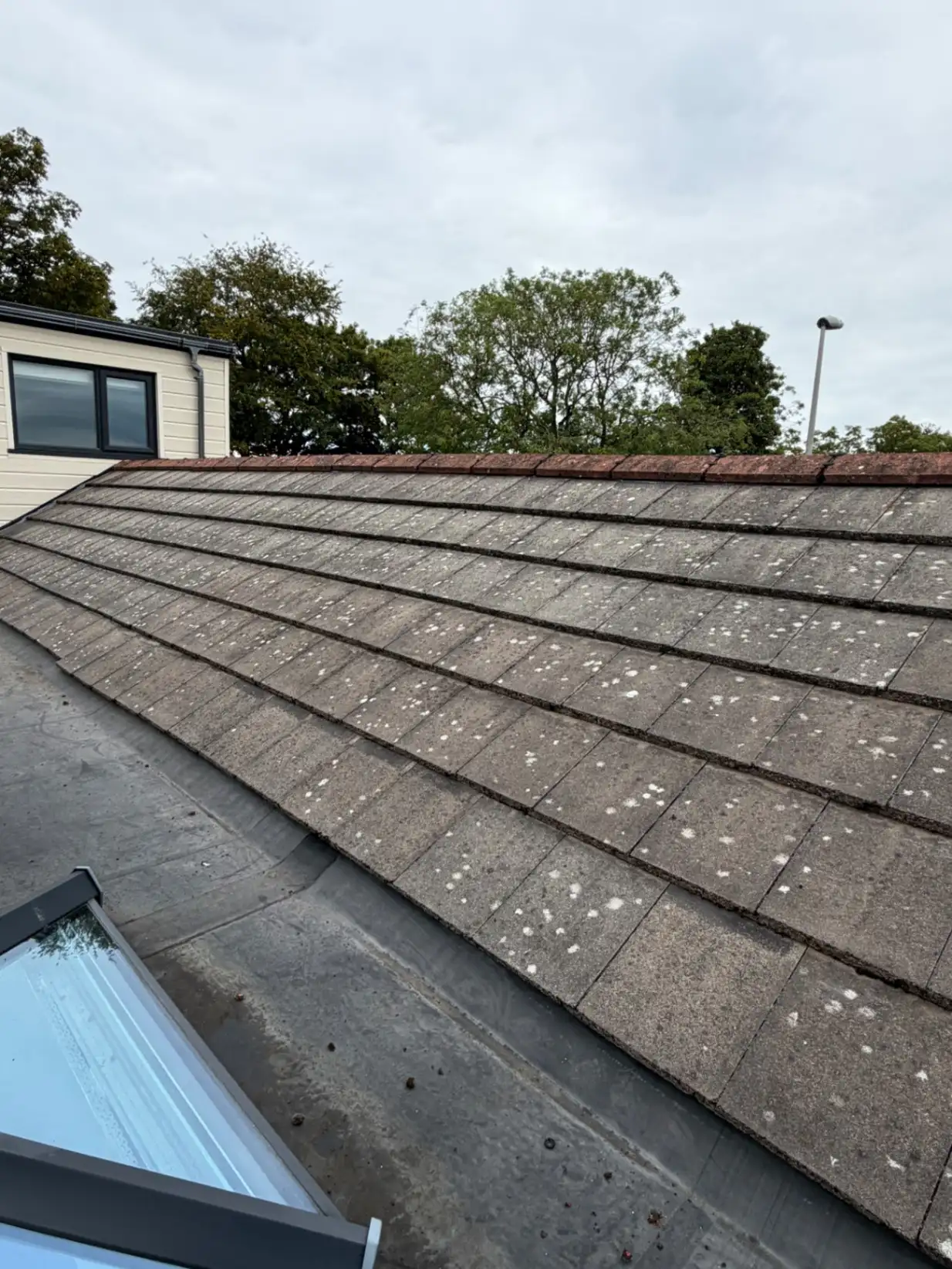 Roof scrape and biocide treatment