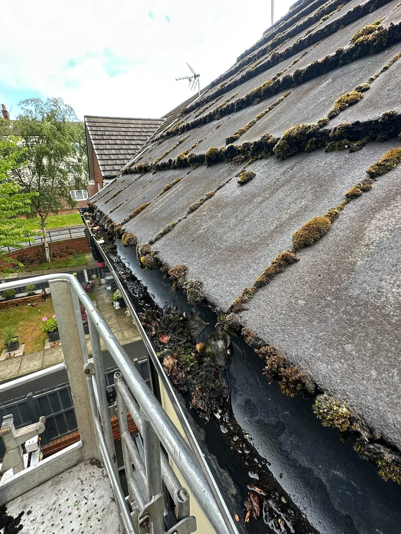 Before: gutter choked with moss, weeds and debris