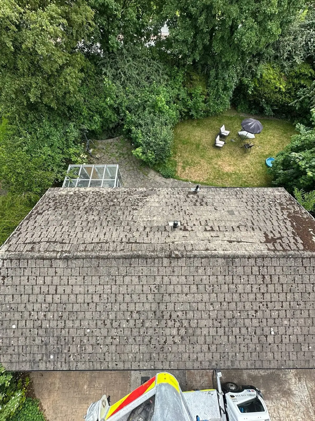 Moss-covered roof before cleaning
